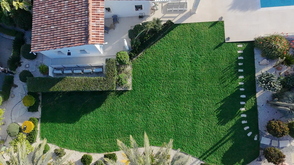 After Professional Grass Colouring in Cyprus