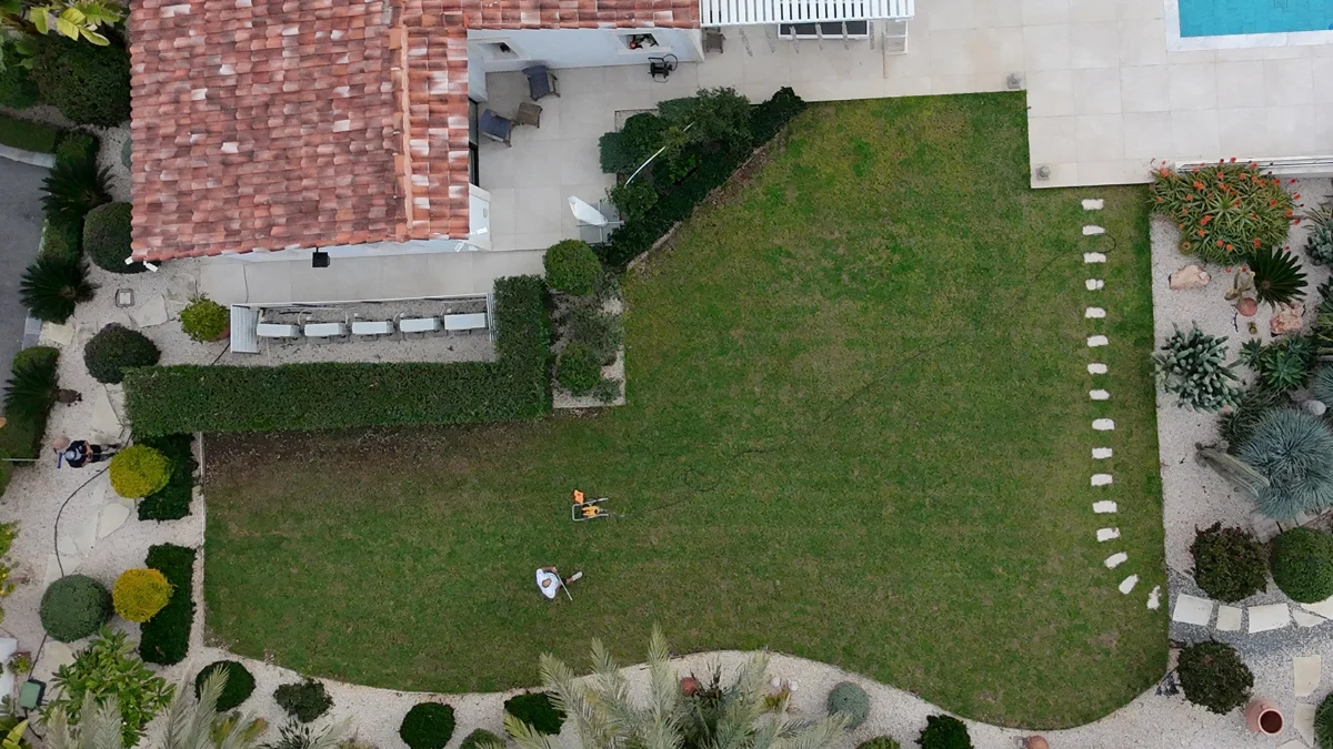 Before Professional Grass Colouring in Cyprus