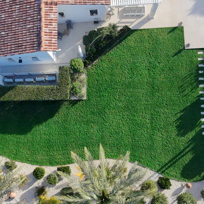 After Professional Grass Colouring in Cyprus