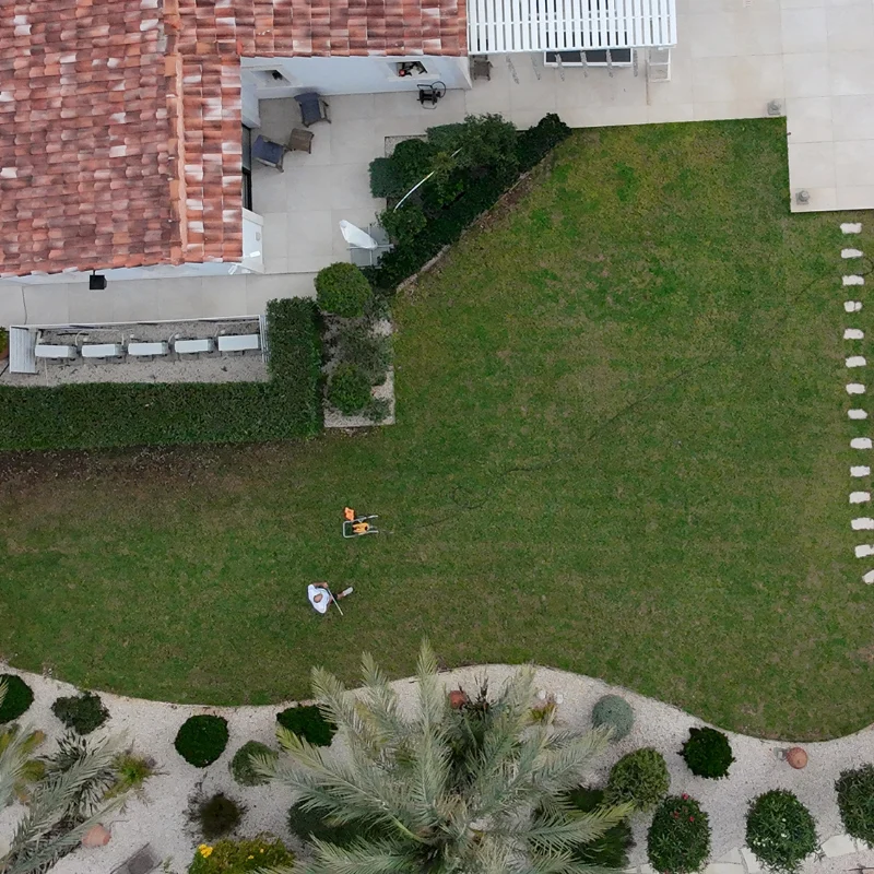 Before Professional Grass Colouring in Cyprus