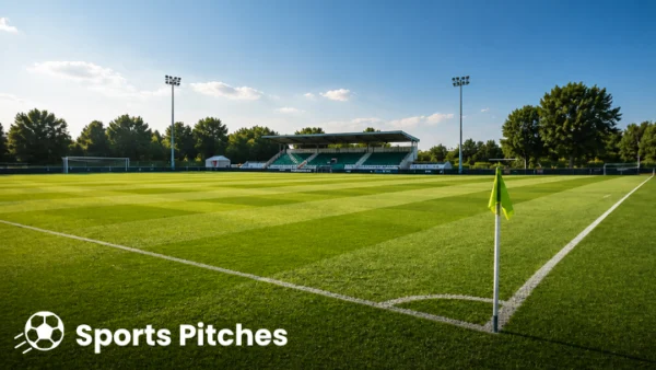 Green Grass Pigment treated Sports Pitches